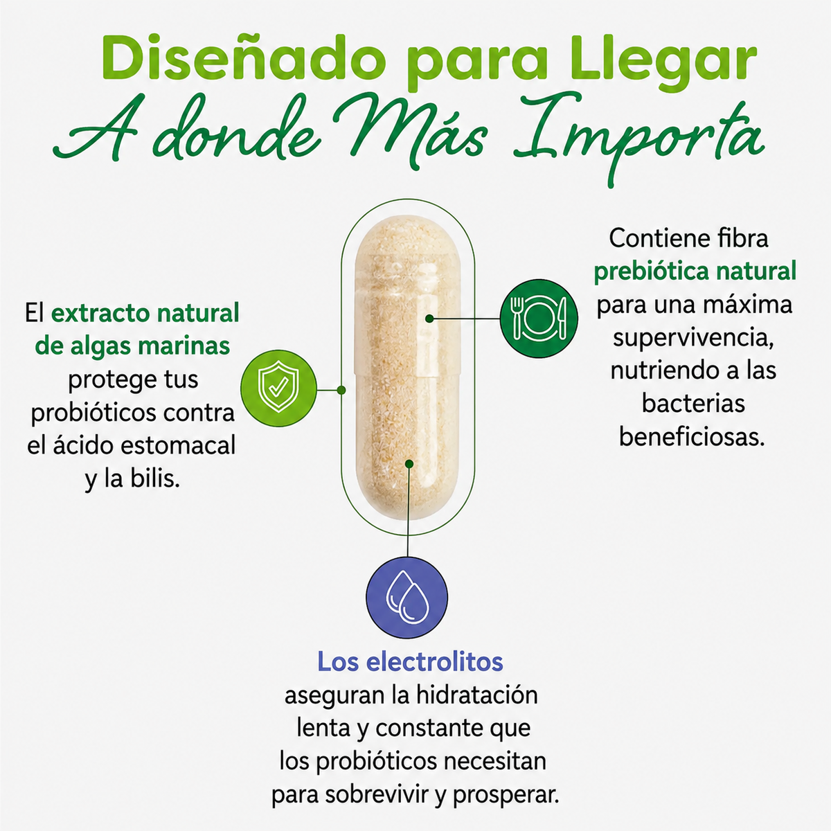 Women's Health Probiotic