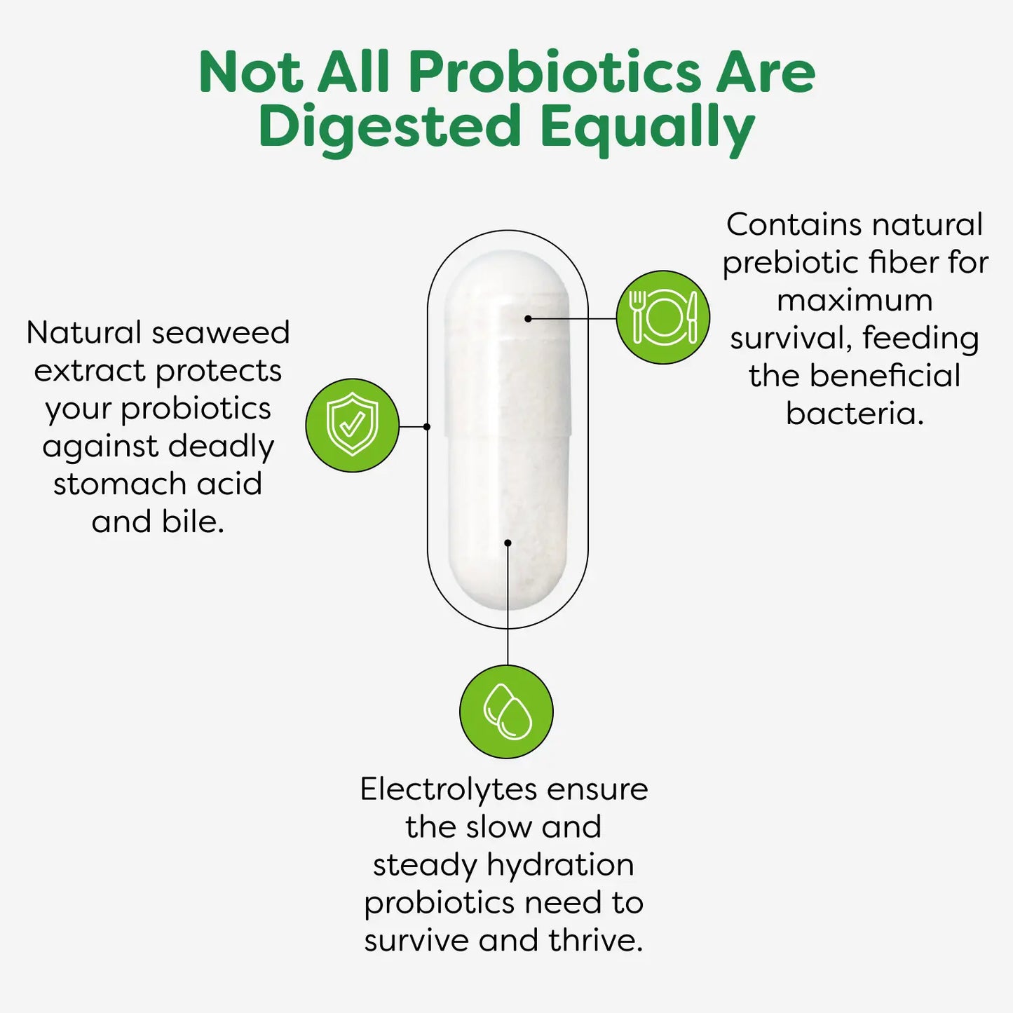 Probulin Daily Care Probiotic